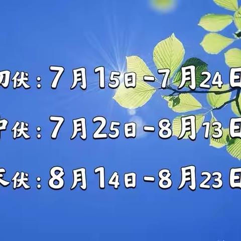 叮咚～  你有一份来自荔枝学区娇子幼儿园关于“三伏天”幼儿保健攻略 请查收💌