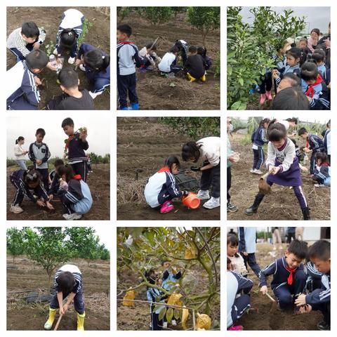 “春暖三月学雷锋,植树增绿我先行” ——天桃实验学校银杉校区2022级3班主题活动