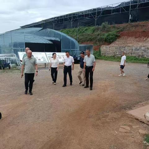 晋城市农村第一书记培训班在西河乡孙沟村食用菌基地参观