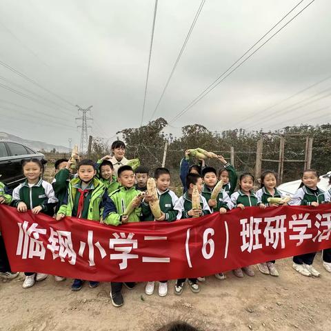 【东营市胜利花苑中学】—“享采摘之趣，见自然之美”研学活动