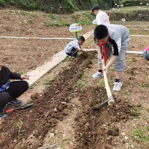 清凉一夏，遇见成长——我的暑期生活