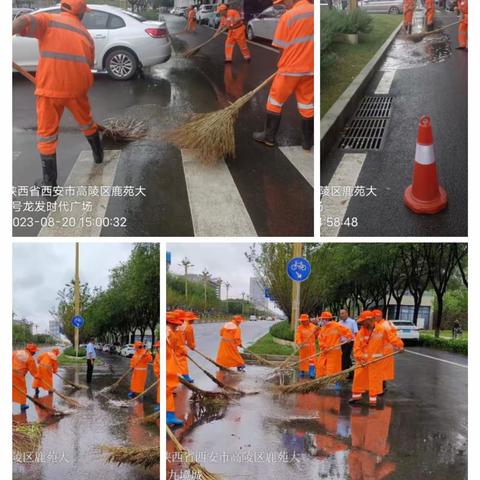 “以雨为令、积极布署”一雨后清洁，恢复整洁