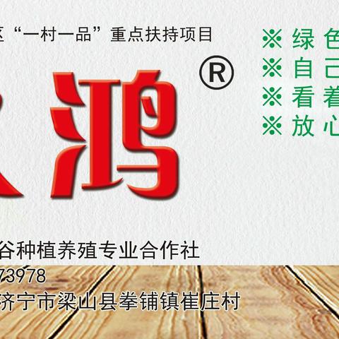 崔庄村盆景韭菜