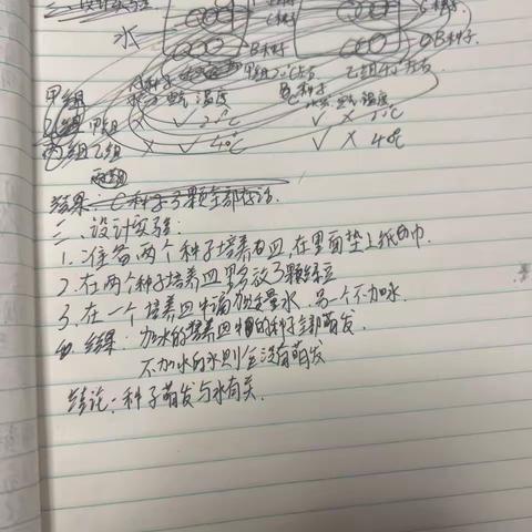 科学实践作业之探究