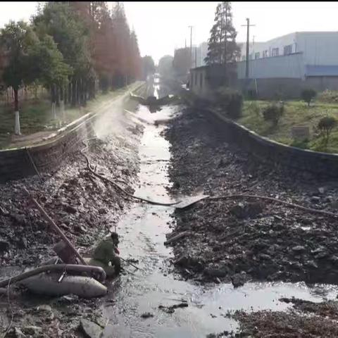 保护环境责任在我 西河保洁我们行动中