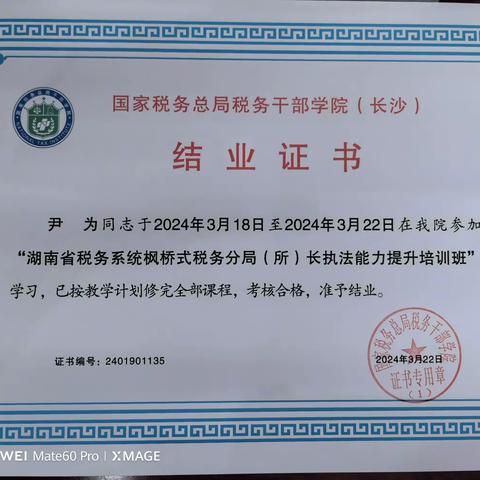 学习心得