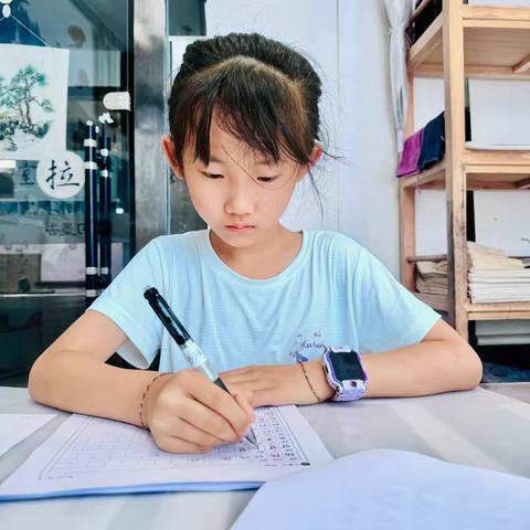 🌸笔尖下的风骨——遇见硬笔书法的静美与力量