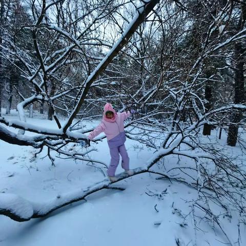 寒假冰雪体验              ——朝阳实验四年五班张悦涵