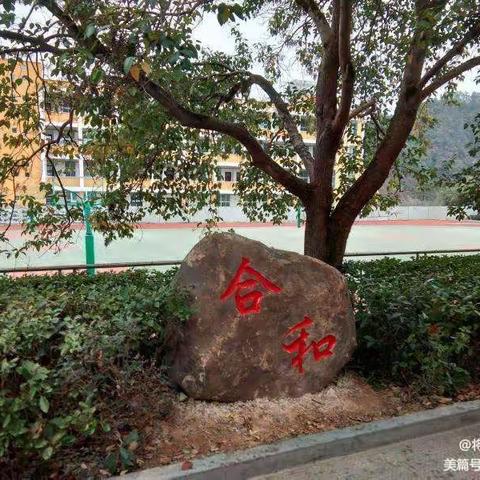 将乐县高唐中心小学端午节致学生及家长的一封信