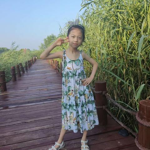 陈芷烟暑假生活