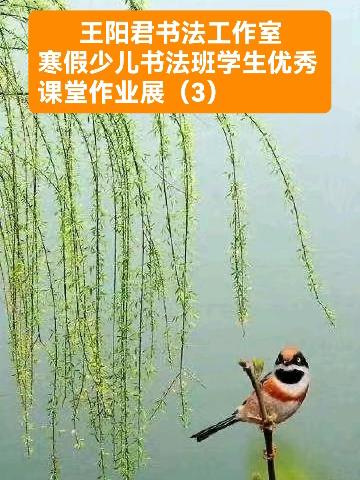 阳光少儿书法（2026年第4期总第49期）