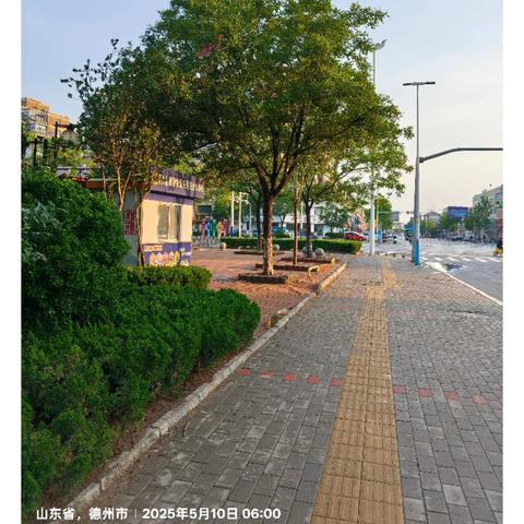 跳蚤市场开办记（25.5.18）