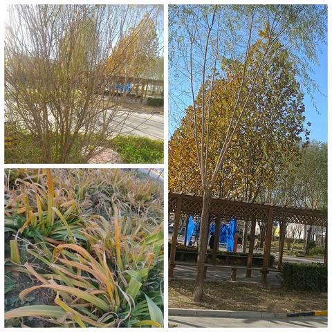 25公斤噻唑膦系统试生产