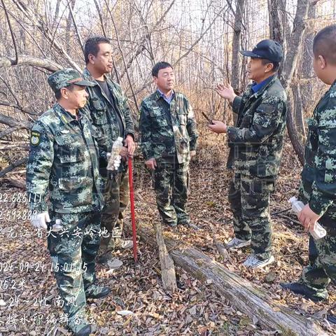 潮中林场强化林下草药种植  助力林场多元化发展新方向