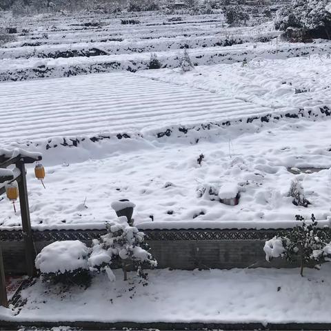 瑞雪兆丰年