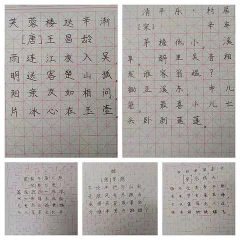 2025——遇见更好的自己 陈丽