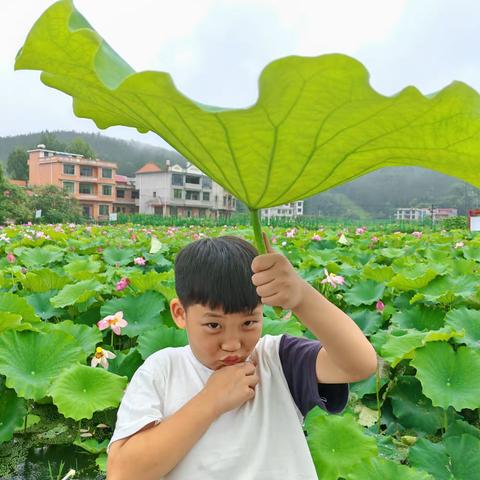 我的暑假生活 | 快乐暑期·伴我成长——九龙学校二年级165班欧阳睿