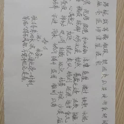 杨佳诺语文作业