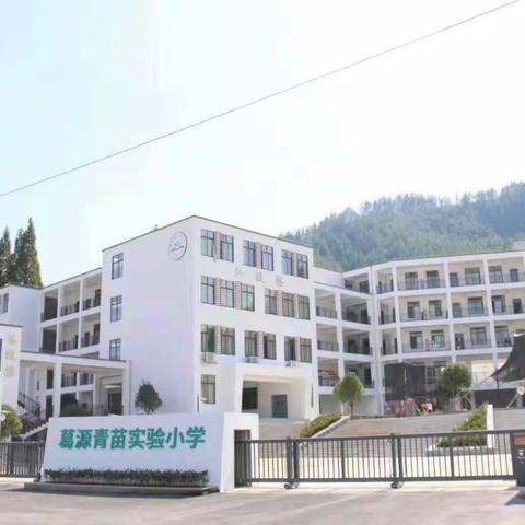 葛源小学2023秋新教师考核检测