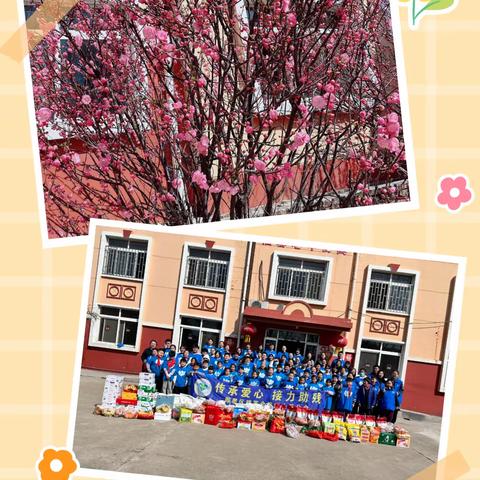 学雷锋志愿服务，精英会31分会携手45分会共同走进南泉中心养老院。