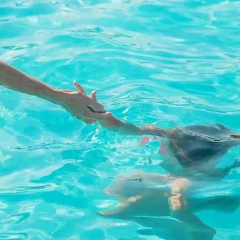 【防溺水告知书】珍爱生命 预防溺水——水木幼儿园防溺水告知书