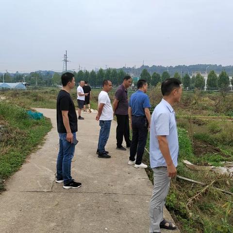义城社区“六情”工作周动态