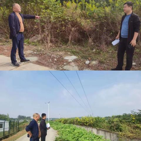 义城社区“六情”工作周动态