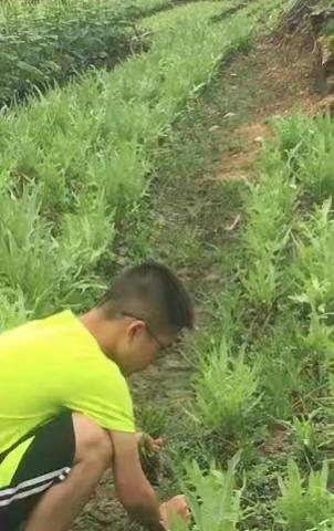 实验中学275班谭然之的美篇