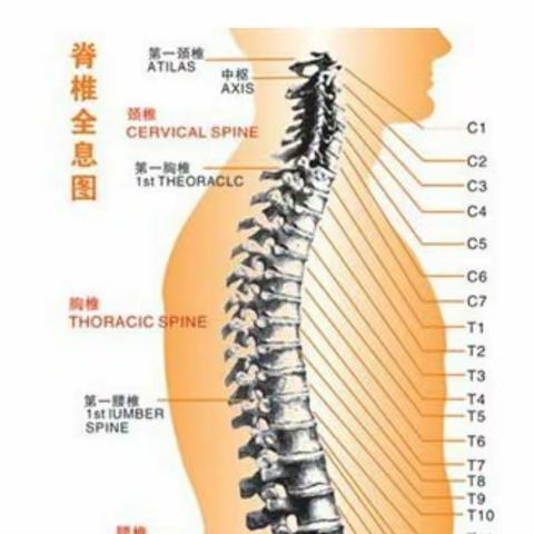 腰肌劳损