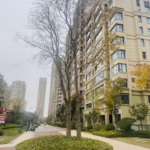 最美物业人-绿化篇