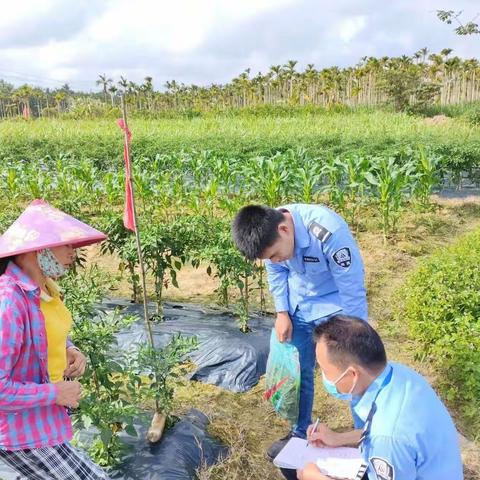 万宁市在海南省“两会”期间开展农产品质量监测行动