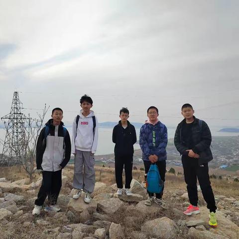 探春-老湖镇中药种植园