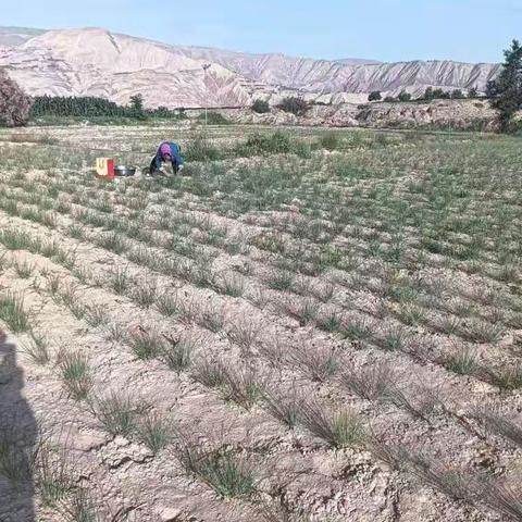 罗山村民委员会