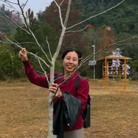 走进百色德保红枫森林公园、走进浩坤湖