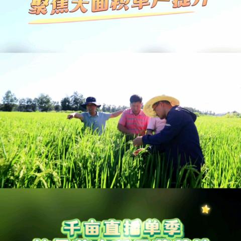 “科技+文化”双轮驱动，助力乡村全面振兴