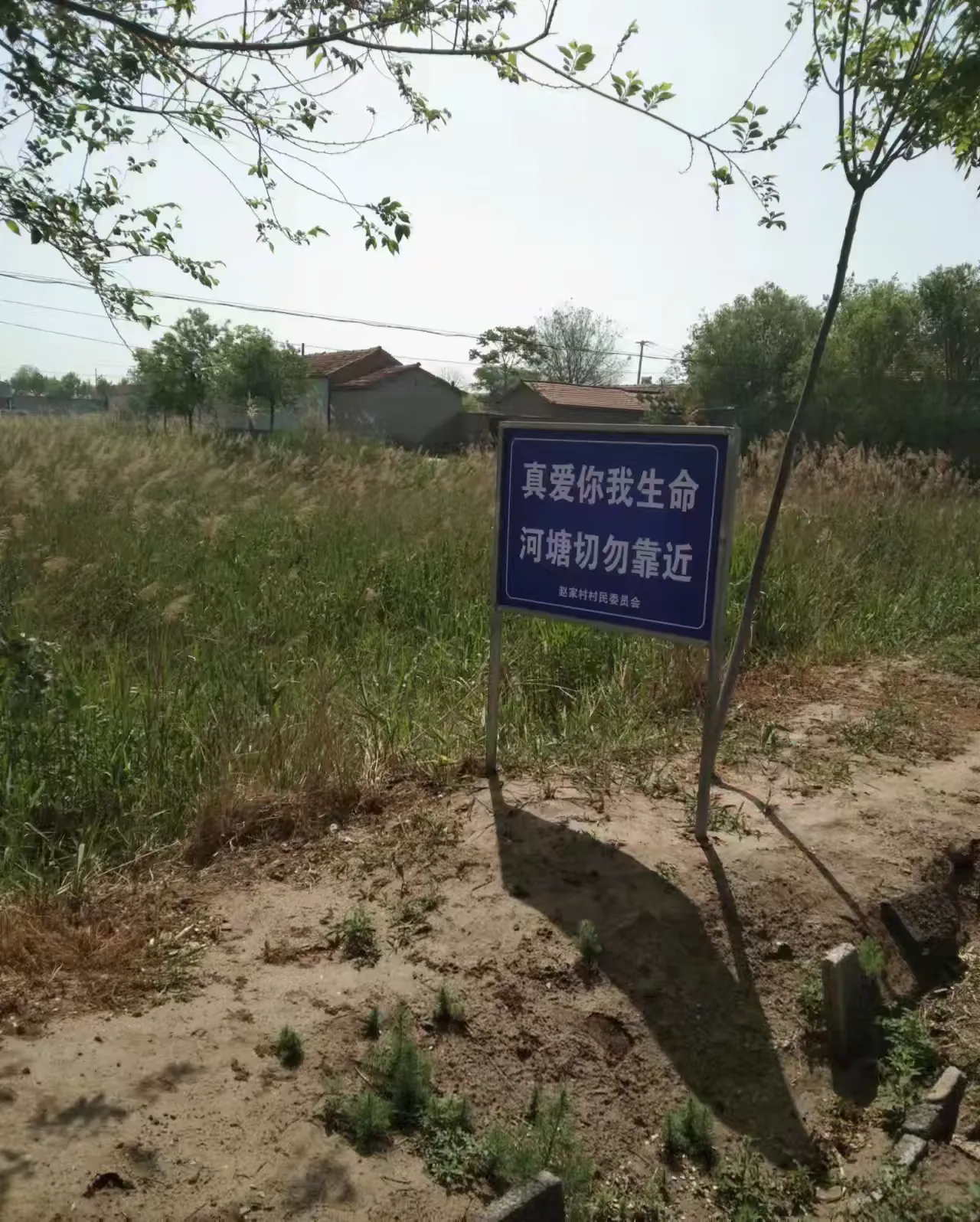 简篇-预防溺水,呵护生命。
