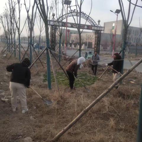 网格员助力小区焕新颜，共建美丽家园在行动
