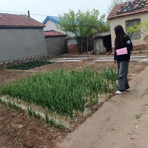 罂粟踏查无死角 禁毒铲毒不放松