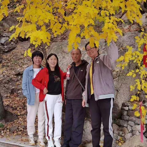 山海有情，一叶知秋