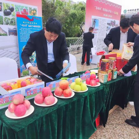 甘果出北国 千里寄相思——旬邑“马栏红”苹果走进泰兴