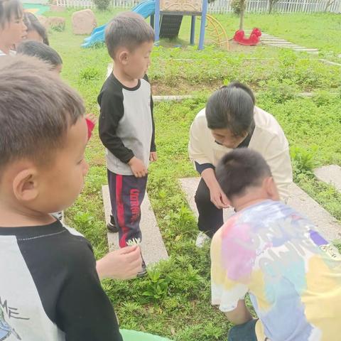 约定春天，横渡中心幼儿园《蒿子粑粑》特色活动  又是一年春来到，在这春暖花开的时节，田野里有许多野菜纷纷探出了小脑袋，为了让幼儿能够更亲近自然，贴近生活，我园开展了园本课程《蒿子粑粑》特色活动让幼儿体验