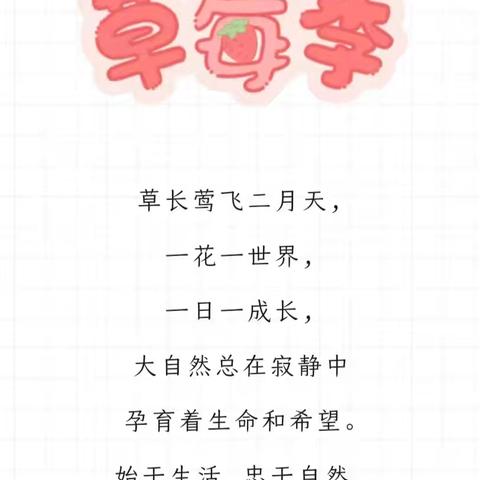 遇见"莓"好 ——禹王宫幼儿园