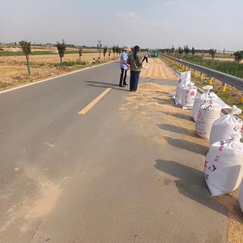 清理打场晒粮，守护“三夏”安全路