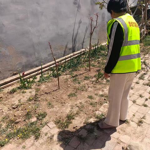 罂粟踏查，禁毒有我