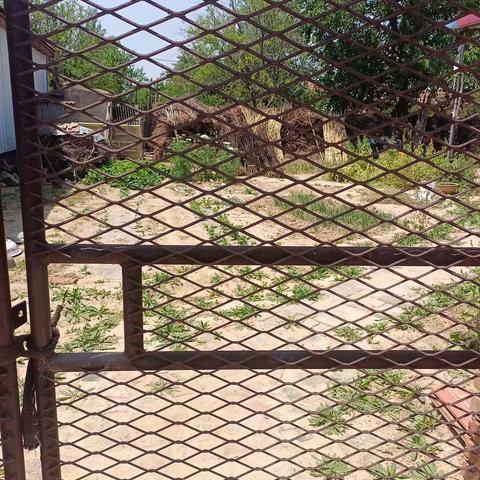 排查“四闲院落”守护人民群众生命财产安全