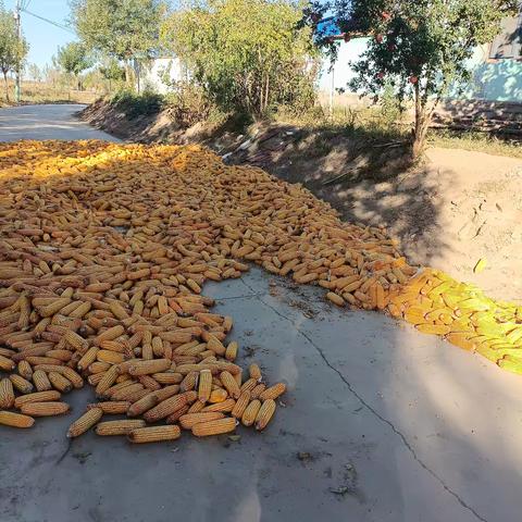 合法晾晒——你我他