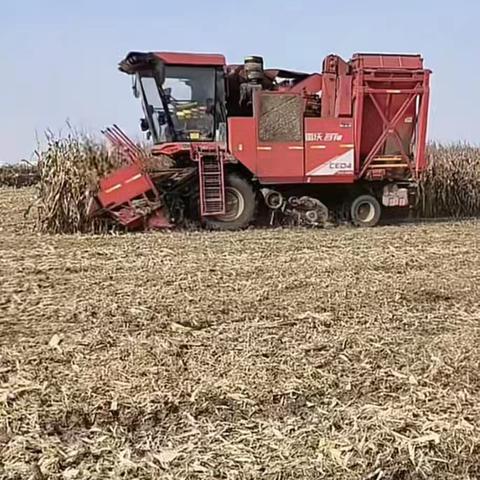 乡村农业新风貌：机械化与协作铺就现代化之路