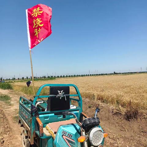 焚烧秸秆，清新空气，共建绿色家园！