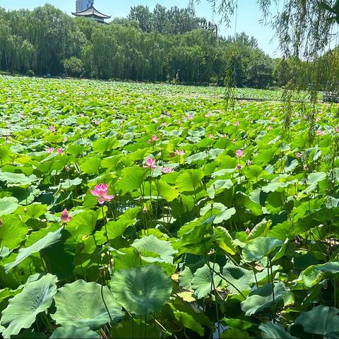 与“水”相约，“水”好有趣