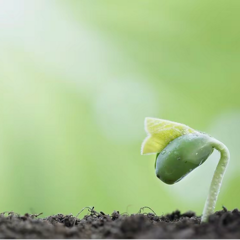 示范引领促提升 携手集训共发展—2023年莱阳市高中生物教师暑期培训